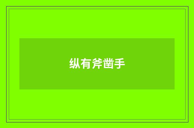 纵有斧凿手