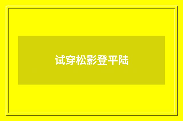 试穿松影登平陆