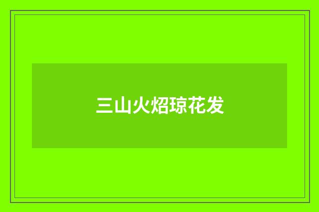 三山火炤琼花发
