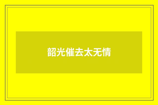 韶光催去太无情