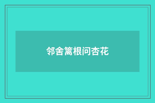 邻舍篱根问杏花