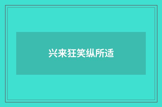 兴来狂笑纵所适