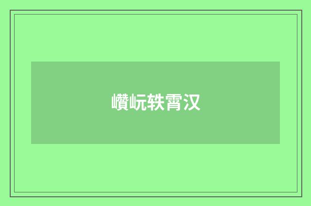 巑岏轶霄汉