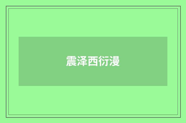 震泽西衍漫