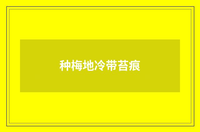 种梅地冷带苔痕