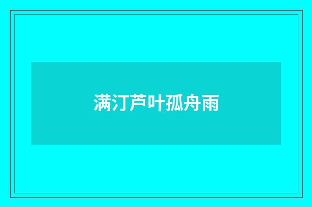 满汀芦叶孤舟雨