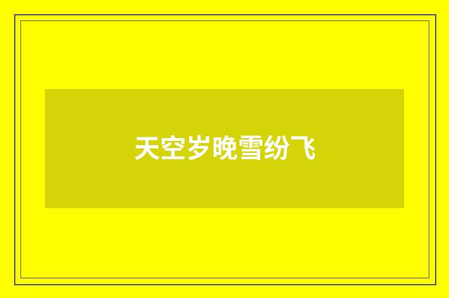 天空岁晚雪纷飞