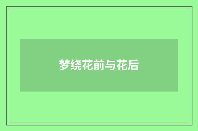 梦绕花前与花后