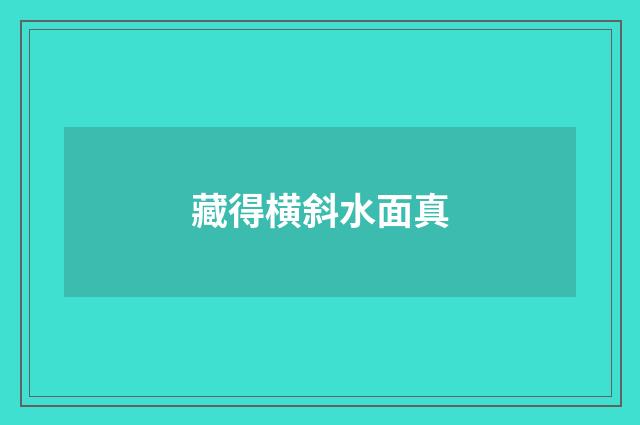 藏得横斜水面真