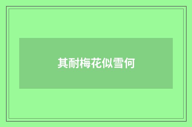 其耐梅花似雪何