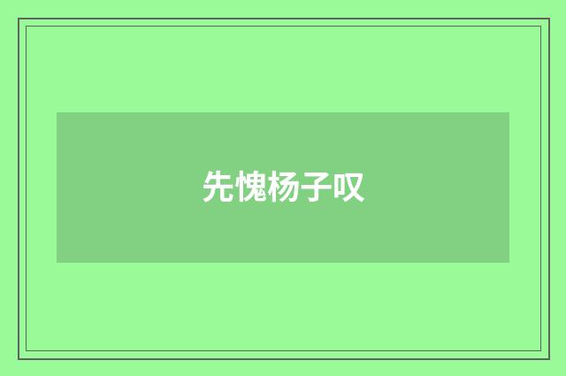 先愧杨子叹