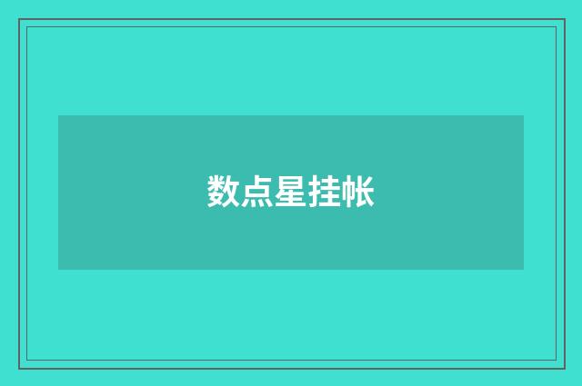 数点星挂帐
