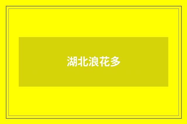 湖北浪花多