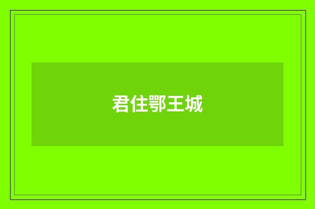 君住鄂王城