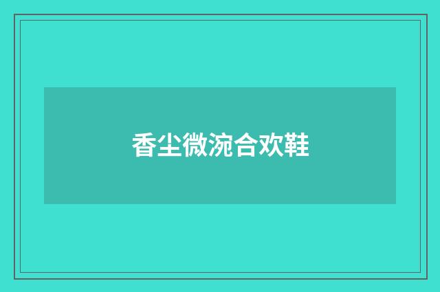 香尘微涴合欢鞋