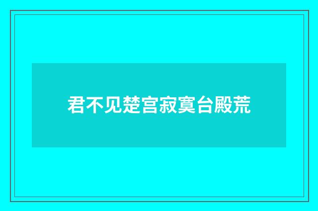 君不见楚宫寂寞台殿荒