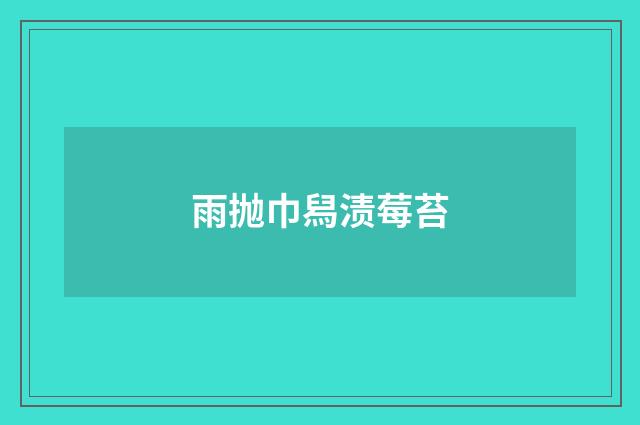 雨抛巾舄渍莓苔