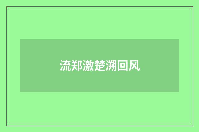 流郑激楚溯回风