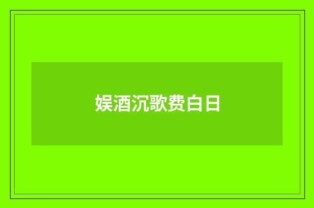 娱酒沉歌费白日