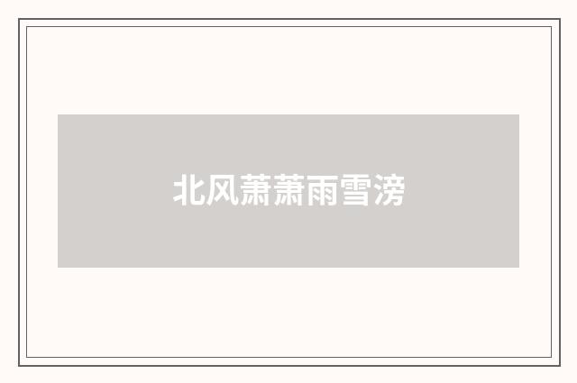 北风萧萧雨雪滂