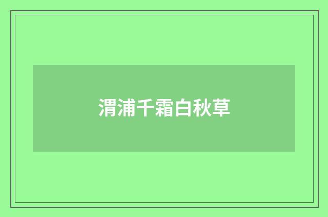 渭浦千霜白秋草