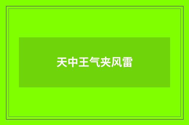 天中王气夹风雷