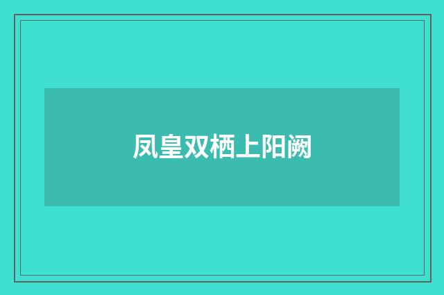 凤皇双栖上阳阙