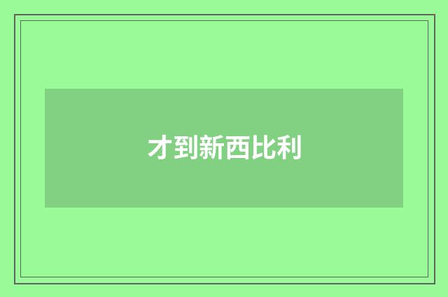 才到新西比利