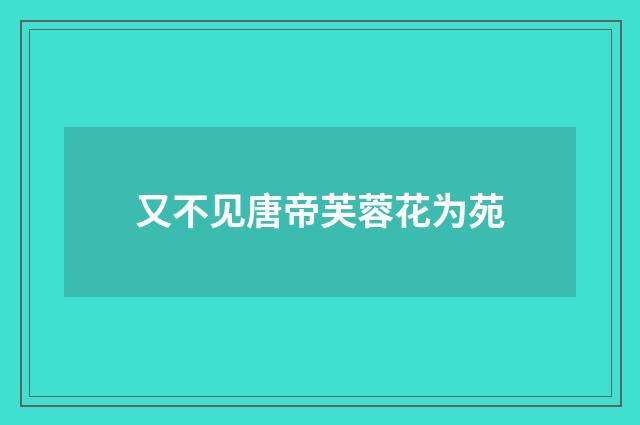 又不见唐帝芙蓉花为苑
