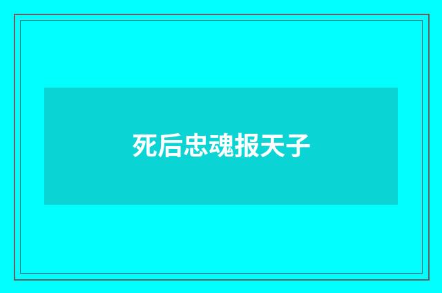 死后忠魂报天子