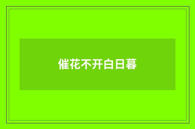 催花不开白日暮