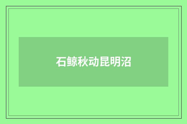 石鲸秋动昆明沼