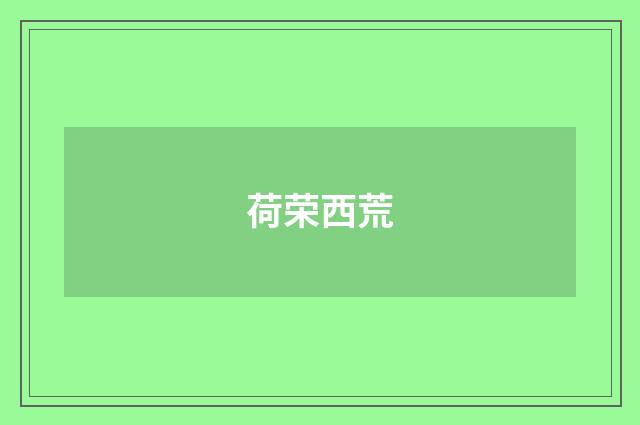 荷荣西荒