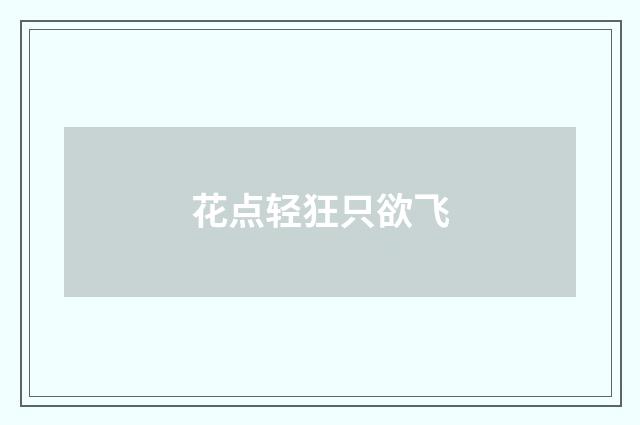 花点轻狂只欲飞