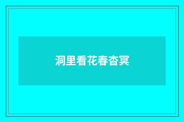 洞里看花春杳冥