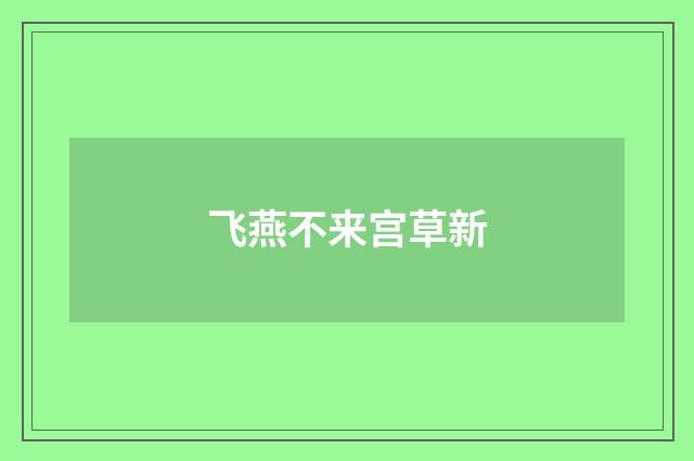 飞燕不来宫草新