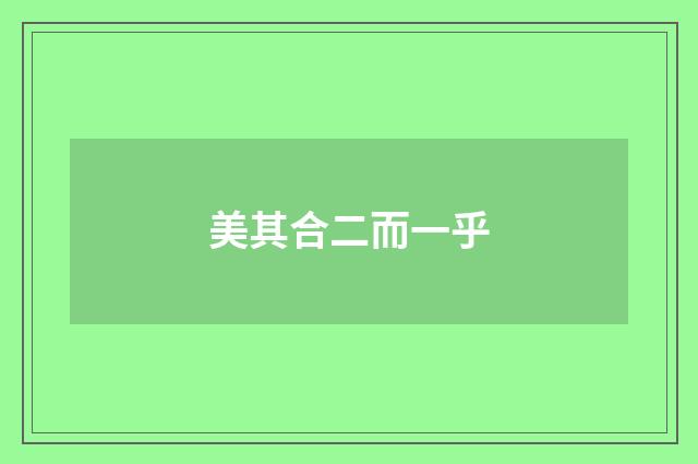 美其合二而一乎