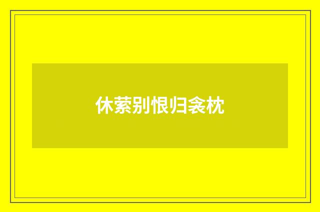 休萦别恨归衾枕