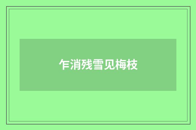 乍消残雪见梅枝