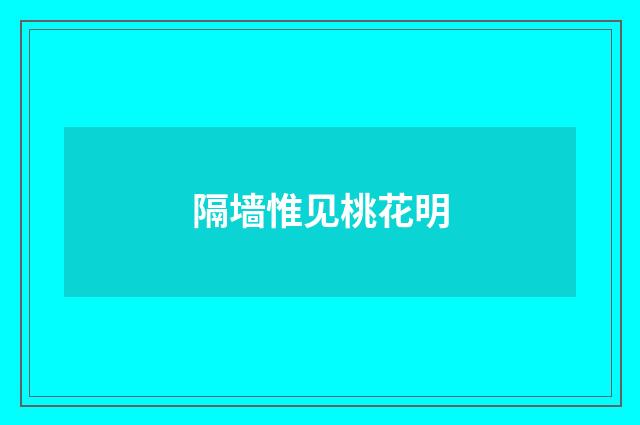 隔墙惟见桃花明