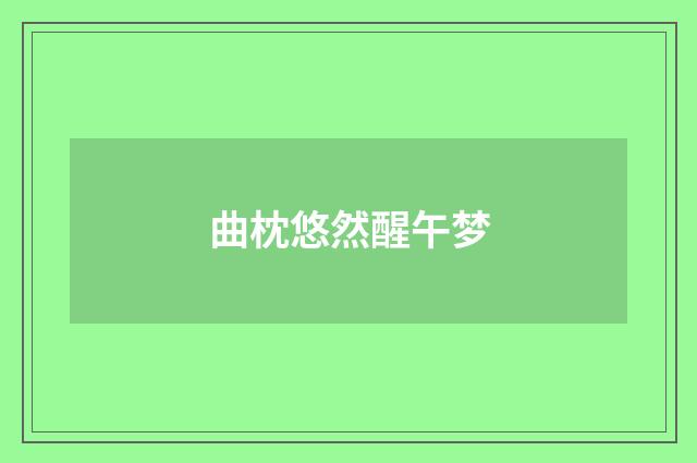曲枕悠然醒午梦