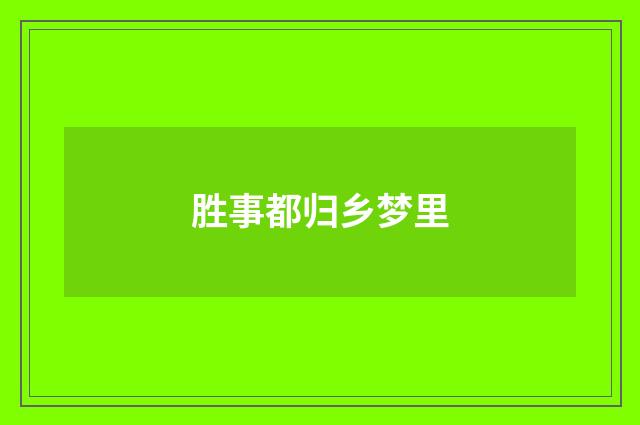 胜事都归乡梦里