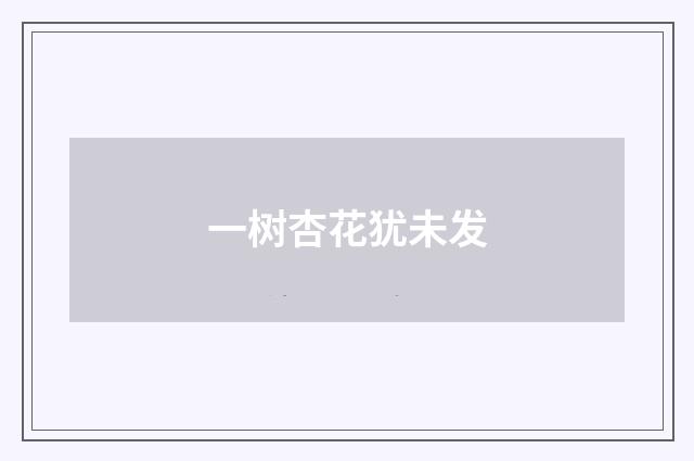 一树杏花犹未发