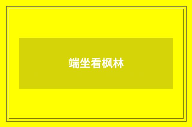 端坐看枫林