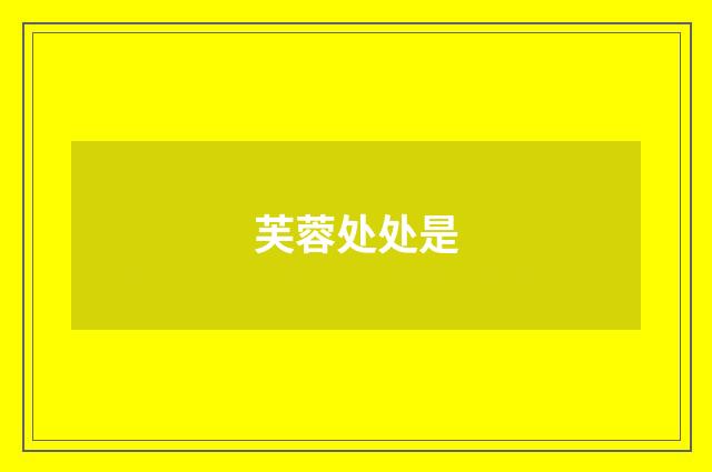 芙蓉处处是