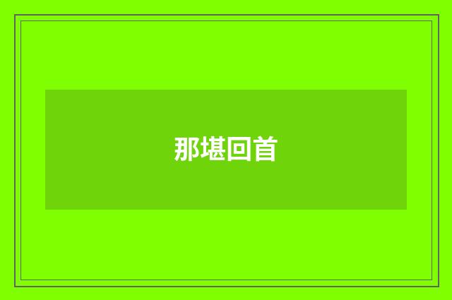 那堪回首