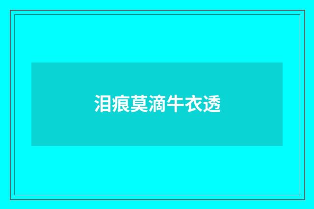 泪痕莫滴牛衣透