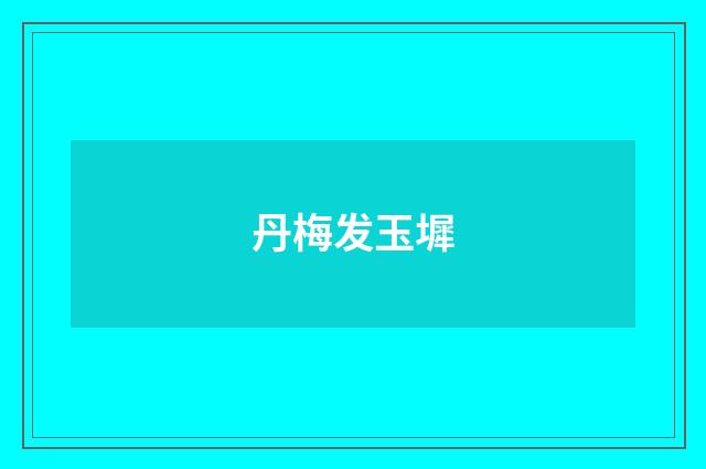 丹梅发玉墀