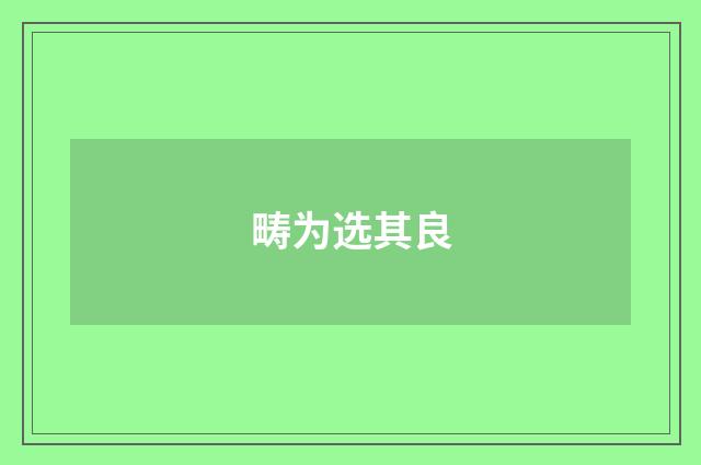 畴为选其良