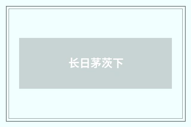 长日茅茨下